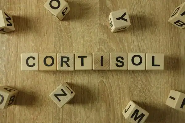 The Hidden Connection: How Stress Shapes Your Fitness and Body Composition 2 Image saying "Cortisol" and how stress Hassocks impacts your wellbeing and bodies shape